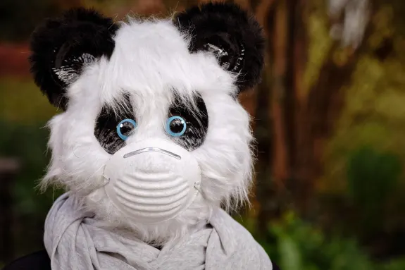 9 Καζίνο Υποστηριξη